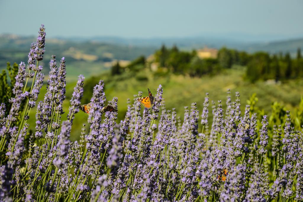 Adalberto - Nella Dimora Di Fulignano San Gimignano Eksteriør billede